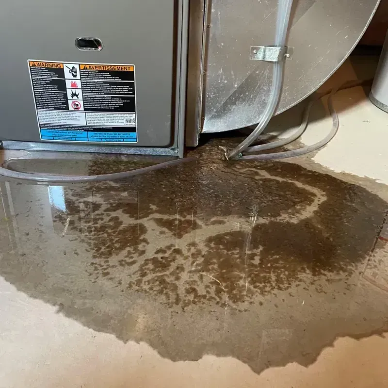 Appliance Leak Cleanup in Palm Aire, FL